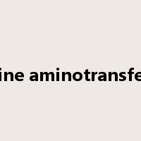 alanine aminotransferase是什么意思