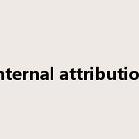 internal attribution是什么意思