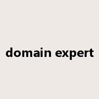 domain expert是什么意思