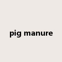 pig manure是什么意思