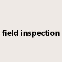 field inspection是什么意思