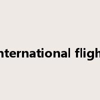 international flight是什么意思