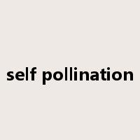 self pollination是什么意思