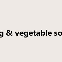 egg & vegetable soup是什么意思