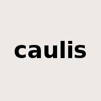 caulis是什么意思