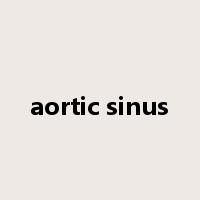 aortic sinus是什么意思