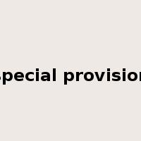 special provision是什么意思