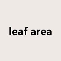 leaf area是什么意思