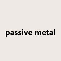passive metal是什么意思