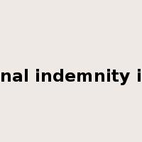 professional indemnity insurance是什么意思