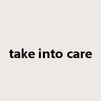 take into care是什么意思
