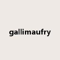gallimaufry是什么意思