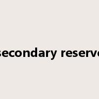 secondary reserve是什么意思