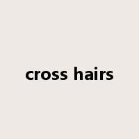 cross hairs是什么意思