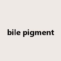 bile pigment是什么意思