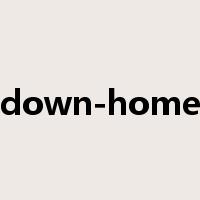 down-home是什么意思