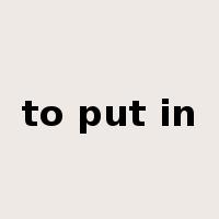 to put in是什么意思