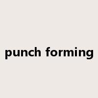 punch forming是什么意思