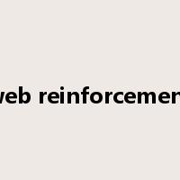 web reinforcement是什么意思