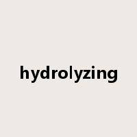 hydrolyzing是什么意思