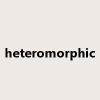 heteromorphic是什么意思