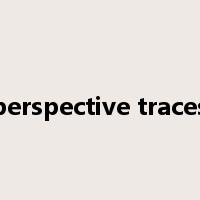 perspective traces是什么意思