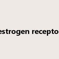 estrogen receptor是什么意思