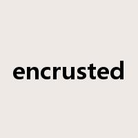 encrusted是什么意思