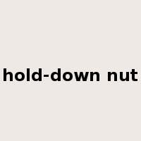 hold-down nut是什么意思