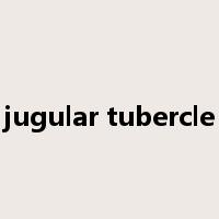jugular tubercle是什么意思