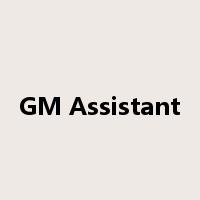 GM Assistant是什么意思