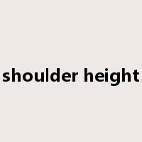 shoulder height是什么意思