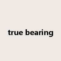 true bearing是什么意思