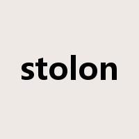 stolon是什么意思