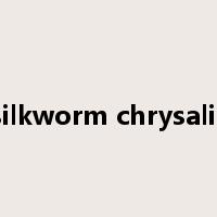 silkworm chrysalis是什么意思
