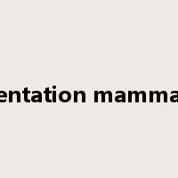 augmentation mammaplasty是什么意思