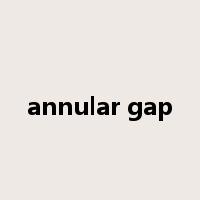 annular gap是什么意思