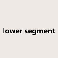 lower segment是什么意思