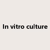 In vitro culture是什么意思