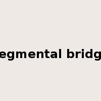 segmental bridge是什么意思