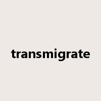 transmigrate是什么意思