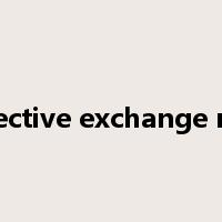 effective exchange rate是什么意思
