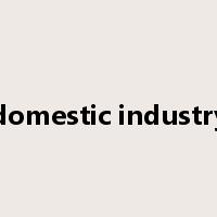domestic industry是什么意思