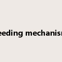feeding mechanism是什么意思