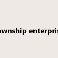 township enterprise是什么意思