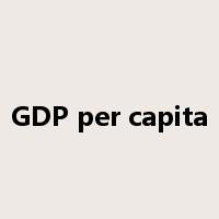 GDP per capita是什么意思