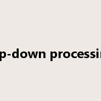 top-down processing是什么意思
