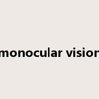 monocular vision是什么意思