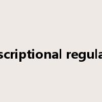 transcriptional regulation是什么意思