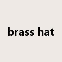 brass hat是什么意思